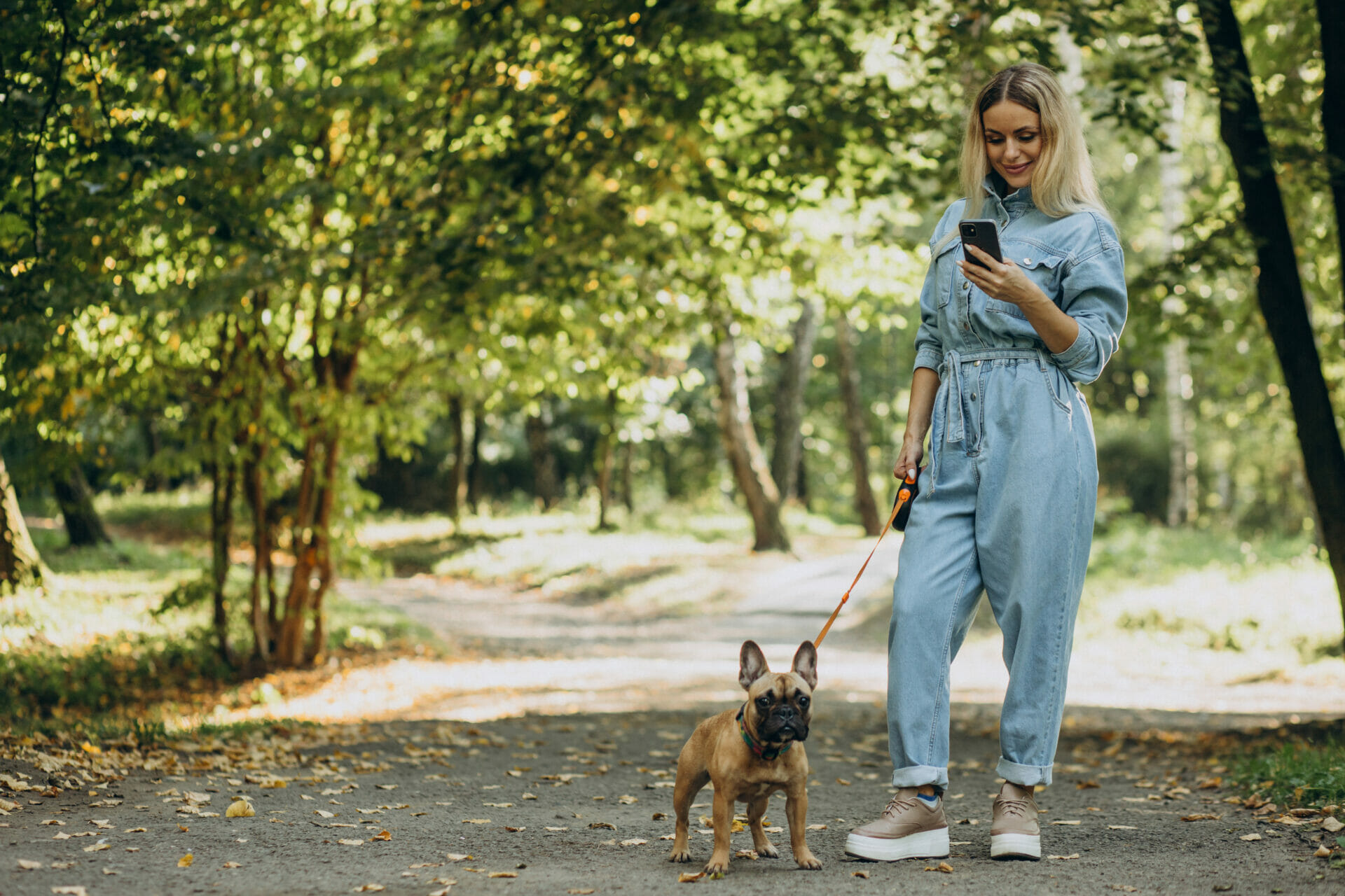 safety and etiquette while traveling with pets