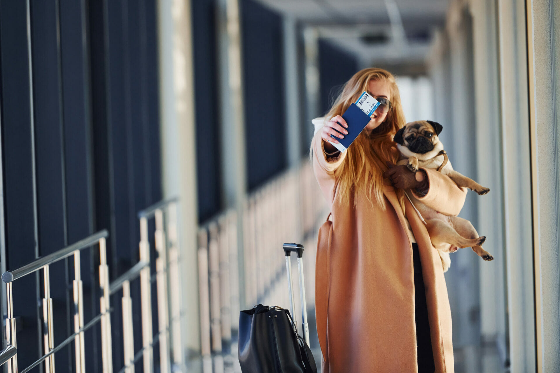 Traveling with Pets