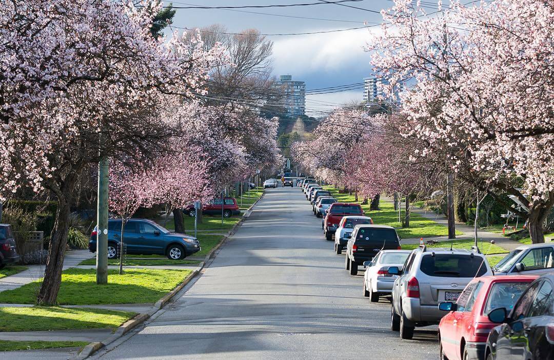 Travel Nursing Through the Seasons